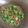 Cooksnap dari Defa Taemin untuk resep Tumis Pare Teri Nasi