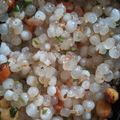 Karan Tripathi (Food Fanatic) का कुकस्नैप जब उन्होंने टेस्टी साबूदाना खिचड़ी(tasty sabudana khichdi recipe in hindi) बनाया था।