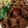 Jeremy's Kitchen 的 滷五花肉 cooksnap