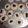 El cooksnap de lucia cuando hizo Galletitas Pepas.