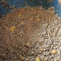 Cooksnap από Μαριλού στη συνταγή Φακές