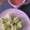 El cooksnap de EGH cuando hizo Huevos rellenos aguacates.
