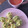 El cooksnap de EGH cuando hizo Huevos rellenos aguacates.