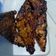 Cooksnap dari Mas Bro untuk resep Tempe bakar teflon