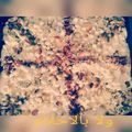 صورة من ولا بالأحلام..💞، شاركها بعد تجربة وصفة فتة حمص بطريقتي 🍞
