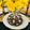 Mallika Biswas's cooksnap of when they made গাজরের হালুয়া.