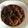 Cooksnap dari Fitri Ameer untuk resep Ayam teriyaki simple