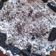 Patrícia Kozma Cooksnap-ja, amikor elkészítette a(z) Sütés nélküli oreo torta receptet.