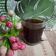 Cooksnap dari Istikah 20444011 untuk resep Kopi Tubruk Original