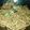 Cooksnap dari ruth monica untuk resep Mie Goreng alá Chinese Food Resto