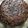 Hina Ibrahim's cooksnap of when they made Eggless chocolate cake.