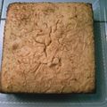 Cooksnap dari mbak_menik untuk resep Bolu tape keju panggang