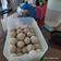 Cooksnap dari Ely susana (elysketo) untuk resep Bakso Sapi