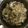 陳珮雯 的 肉絲蛋炒飯 cooksnap