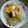 Cooksnap dari Reka untuk resep 32.Soto Bening Boyolali