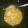 Cooksnap dari arifahquintahanum@gmail.com untuk resep Cilok kuah