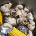 魏藍 的 麻油猴頭菇雞 cooksnap