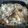 saartje's cooksnap of when they made Pasta primavera.