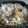 saartje's cooksnap of when they made Pasta primavera.