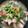 รูป Cooksnap ของ Sasi เมื่อเขาทำ ต้มแซ่บกระดูกใบพายอ่อน