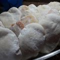 El cooksnap de Andrea Massa cuando hizo Pan de pita.