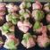 Cooksnap dari Nawä Cewe'x Angel untuk resep bolu mekar rainbow