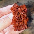 Cooksnap dari Dilla danetha untuk resep 188. Bolu Sarang Semut Panggang (4 Telur, No Mixer)
