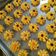 Cooksnap dari Suci Mariyah untuk resep Semprit Dahlia