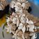 Cooksnap dari pall untuk resep Cup cake kukus simple