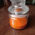 Cooksnap dari Serodja Lestari untuk resep Saus Sambal Homemade #Ketofy #Ketopad