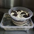 Cooksnap dari Megah Askia te Ming untuk resep Oreo chesee cake lumer