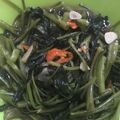 Cooksnap dari Shafira Pratama untuk resep Resep Tumis Kangkung Sederhana