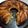 El cooksnap de Andre Jara cuando hizo Torta invertida de manzanas y peras.