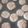 El cooksnap de carla Paez cuando hizo Galletas simples integrales.