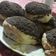 El cooksnap de Milagros Lopez cuando hizo Tortitas negras.