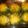 erickblossomgame34's cooksnap of when they made Stuffed green bell peppers.