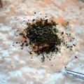 renee's cooksnap of when they made tzatziki sauce.