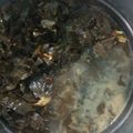 Cooksnap dari Jelita Maulida untuk resep Gulai Daun Singkong