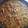 El cooksnap de Azucena García cuando hizo Paella de marisco.