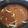 rhonda.l.dubose's cooksnap of when they made Salisbury steak.