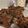 Jonathan Pulfer's cooksnap of when they made Tea and Bread pudding..