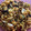 El cooksnap de Maribel cuando hizo Pasta con almejas, mejillones y vino.