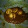 Cooksnap dari Novyy Novietha's Kitchen untuk resep RENDANG TELUR (#pr_masakanbersantan)