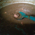 El cooksnap de Adrianaanakarenlalalalalalfdbshg123 cuando hizo Lentejas franciscanas. Olla de cocción lenta (CrockPot ,SlowCooker).