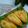 Cooksnap dari Agustin Nur Hasanah untuk resep Pisang goreng thailand