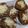 Cooksnap dari Ayhu Rahayu untuk resep Kue lumpur waluh coklat