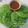 Cooksnap dari Susi Sandra untuk resep Serabi Pandan Kuah Kinca Gula Merah