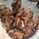 Cooksnap dari Elisa rani untuk resep Bebek bakar empuk