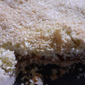 El cooksnap de le leon cuando hizo Tarta de coco y dulce de leche.