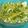 Bina Samir Telivala's cooksnap of when they made Cabbage and capsicum sabzi.